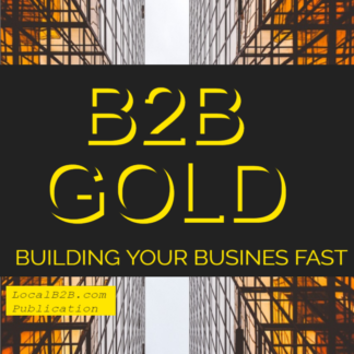 shows cover of b2b gold ebook