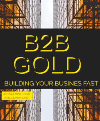 shows cover of b2b gold ebook
